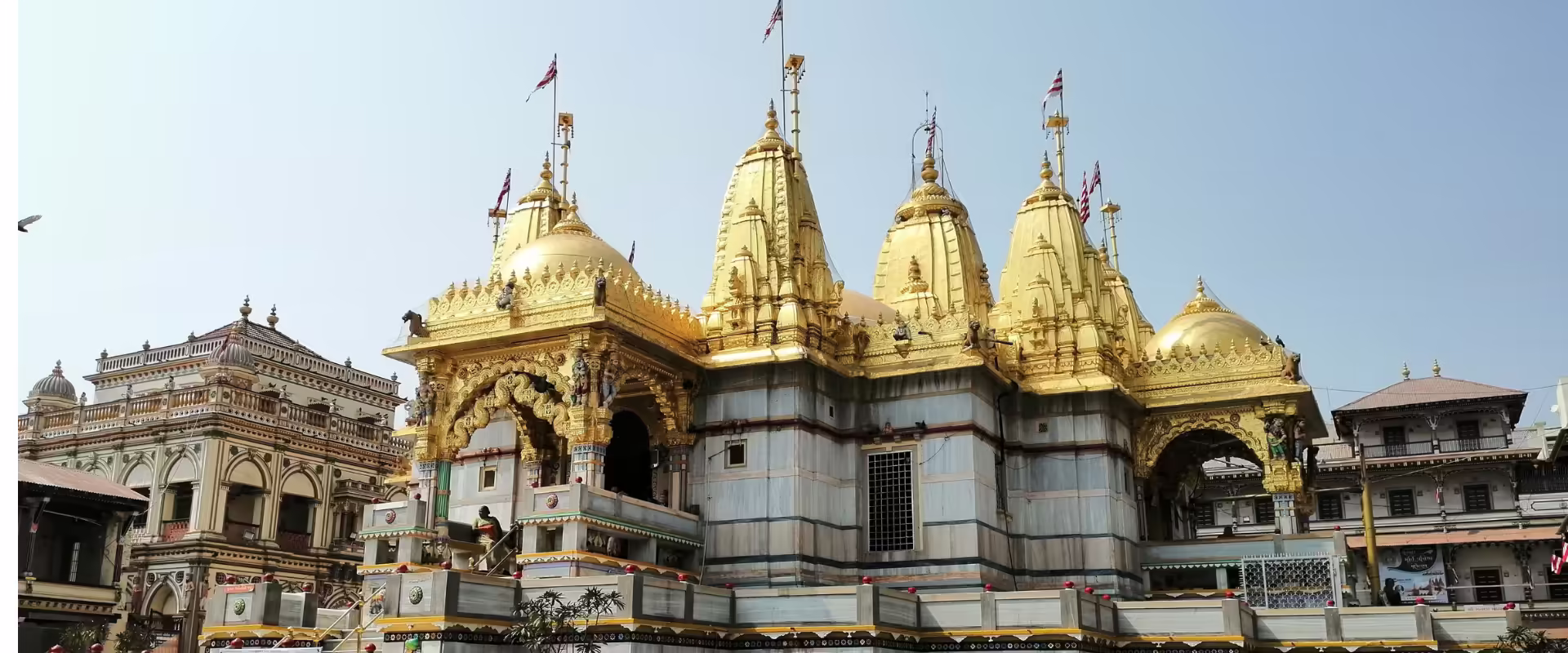 Gujarat Heritage & Pilgrimage image 2