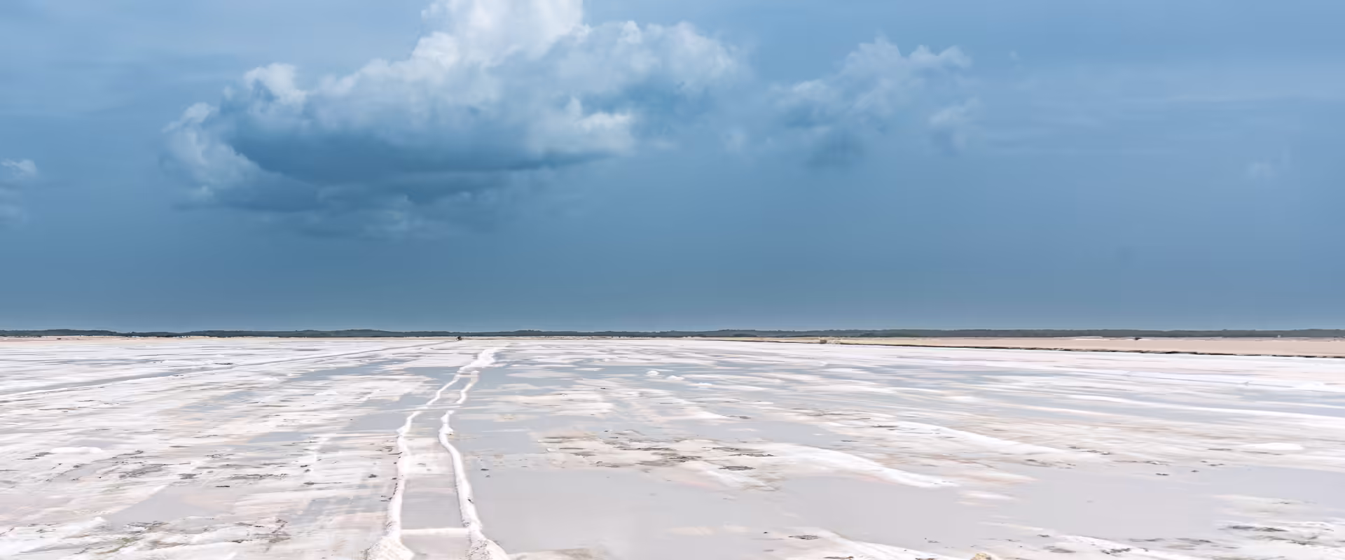 Rann of Kutch + Bhuj Cultural Circuit image 3