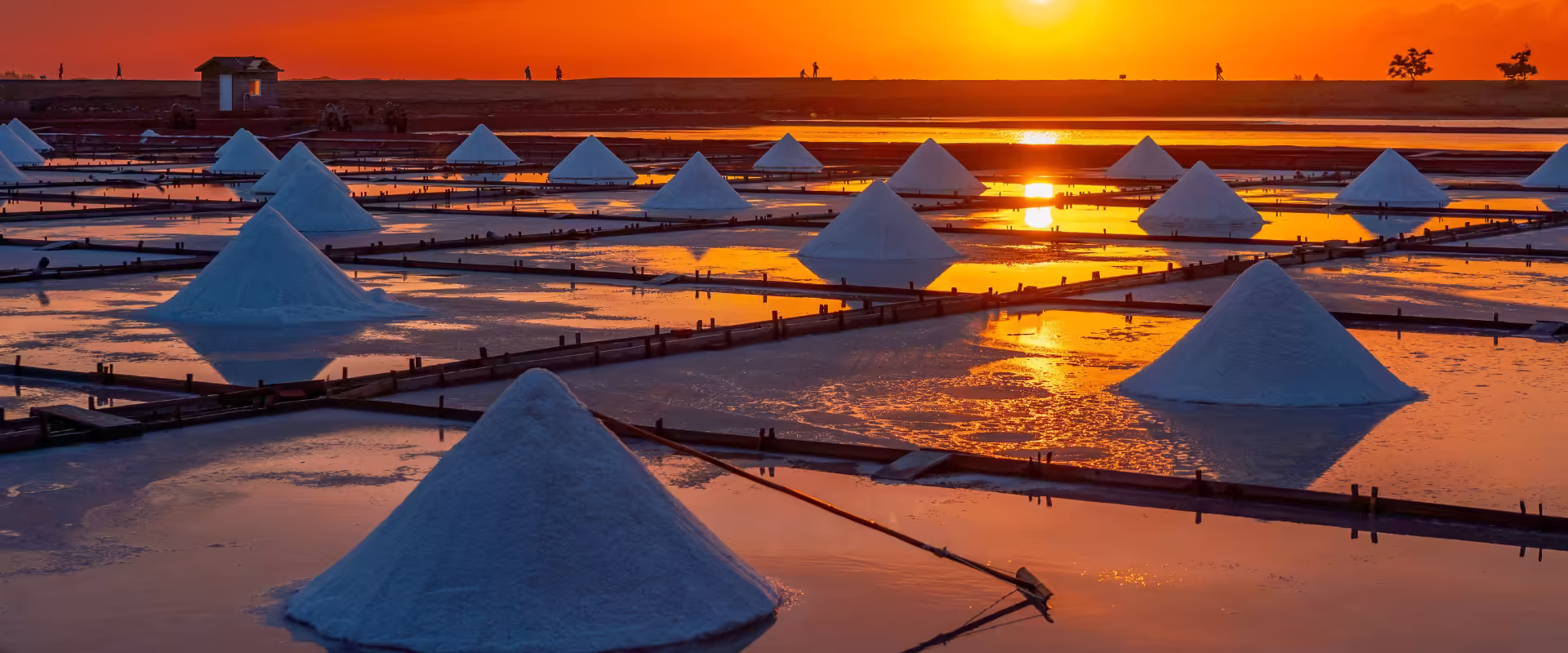 Rann of Kutch + Bhuj Cultural Circuit image 5