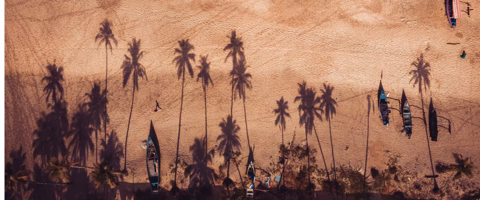 Goa Beach Break image 5