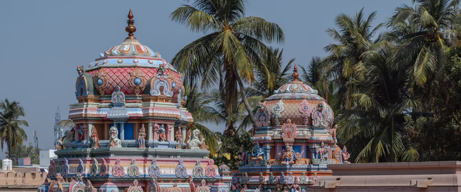 Tamil Nadu Temple Circuit image 8