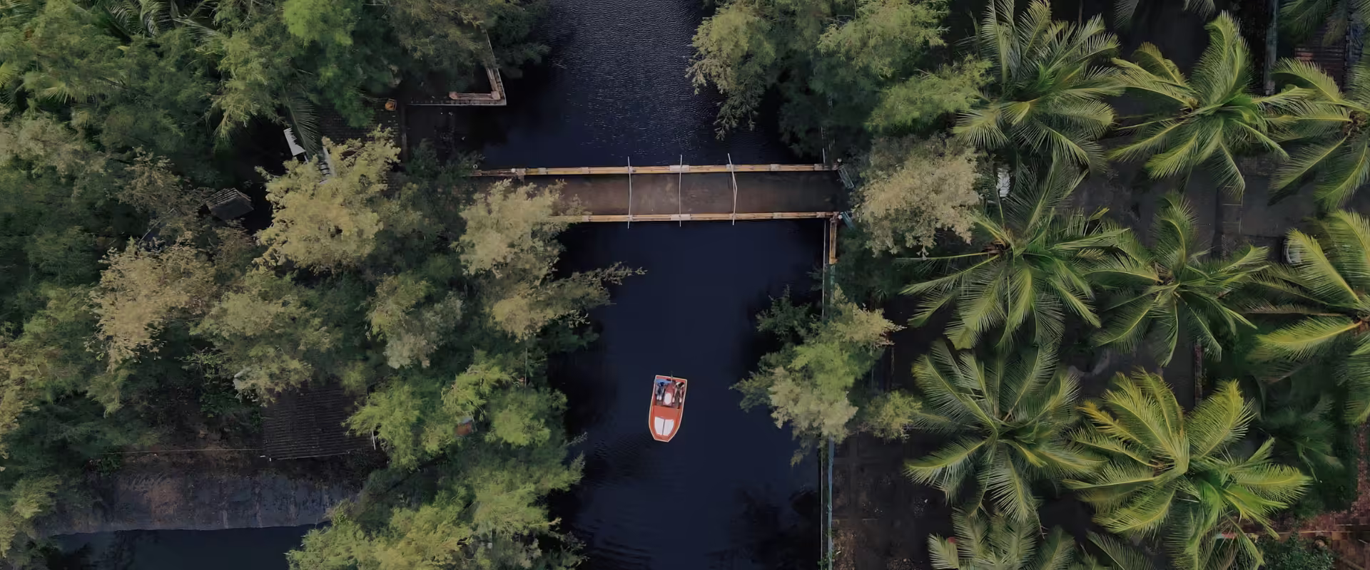 Kerala Honeymoon Package for Couples image 5