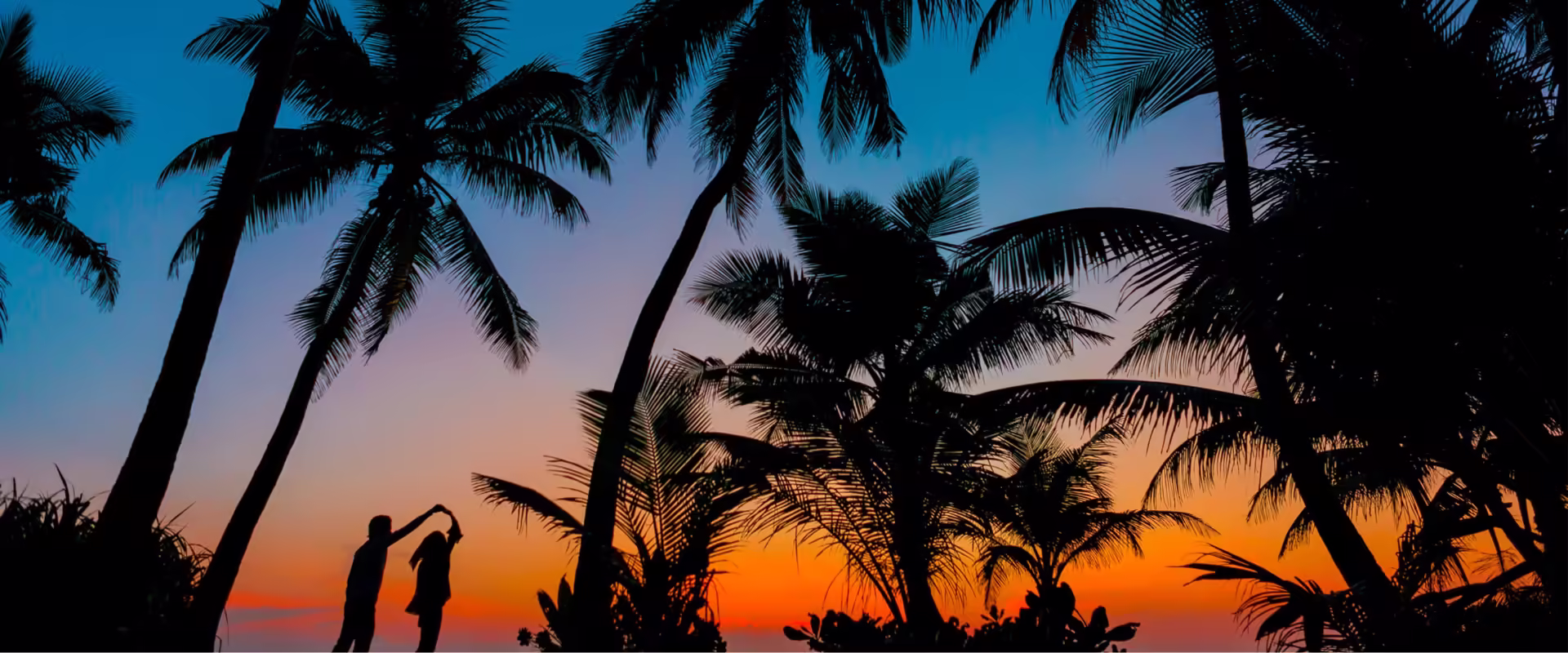 Kerala Honeymoon Package for Couples image 6