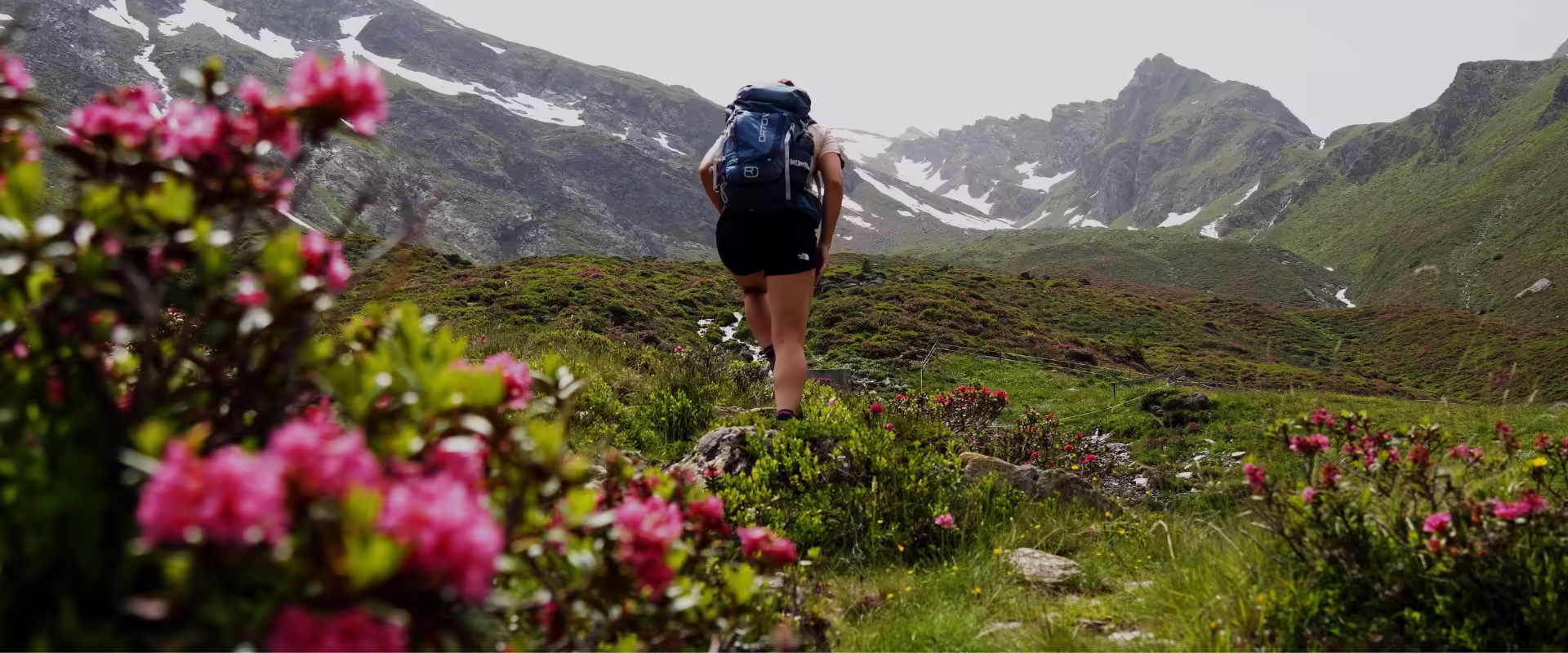 Valley of Flowers Trek image 5