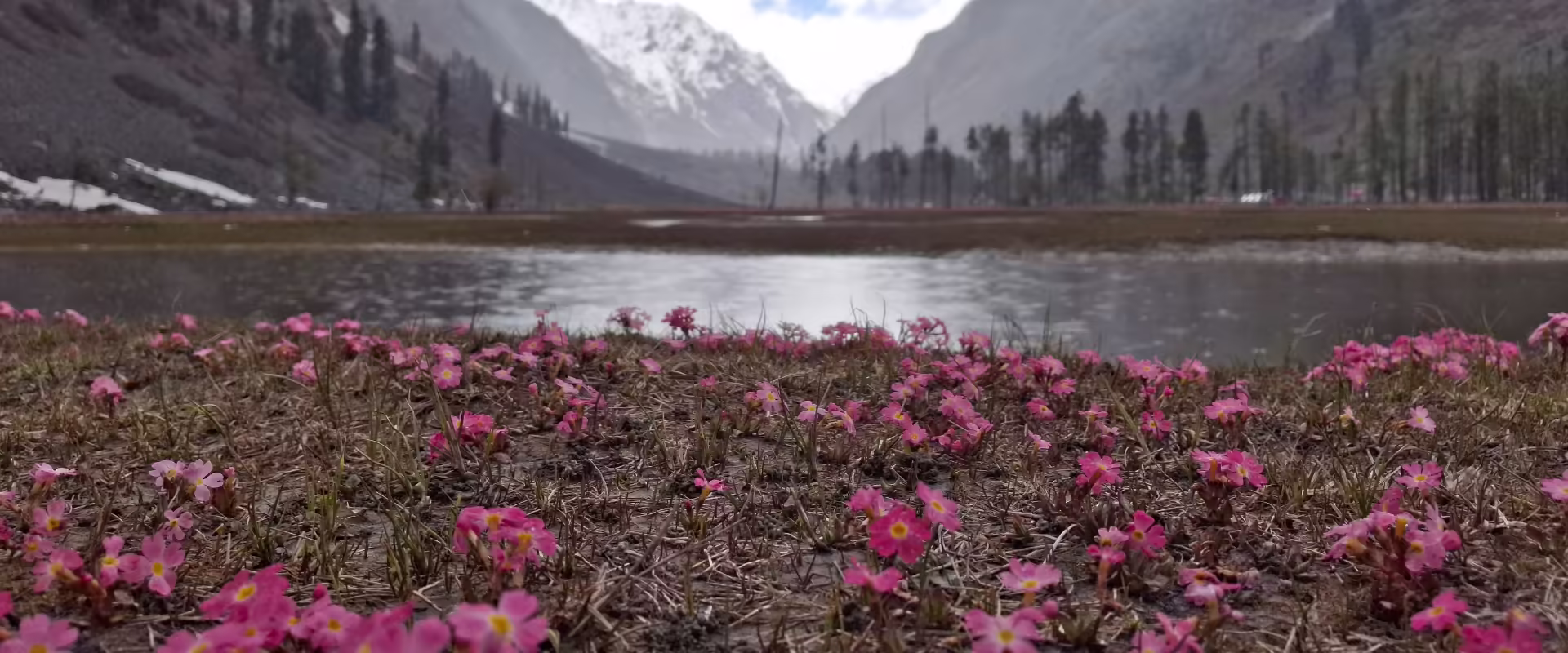 Valley of Flowers Trek image 7