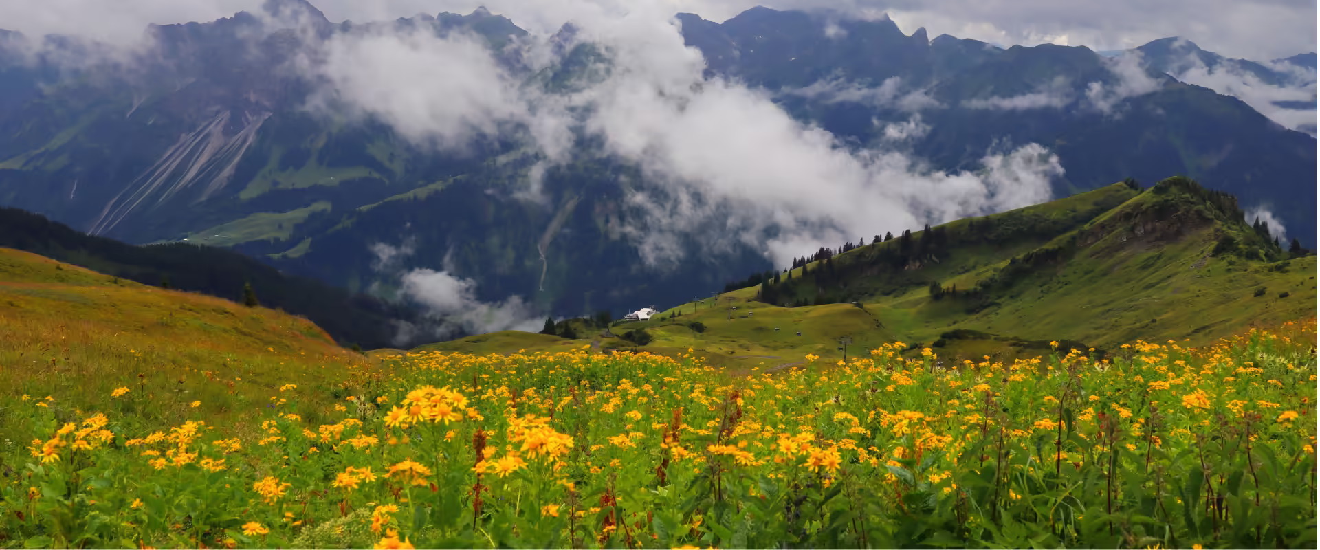 Valley of Flowers Trek image 8