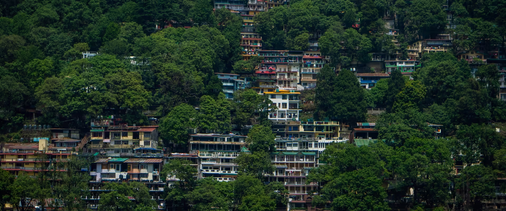 Nainital & Jim Corbett Group Tour – 3N/4D Adventure image 2
