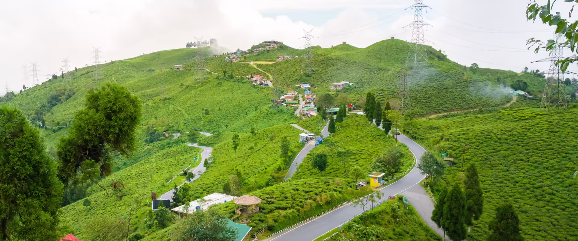 Darjeeling & Gangtok Delight Combo Tour image 5