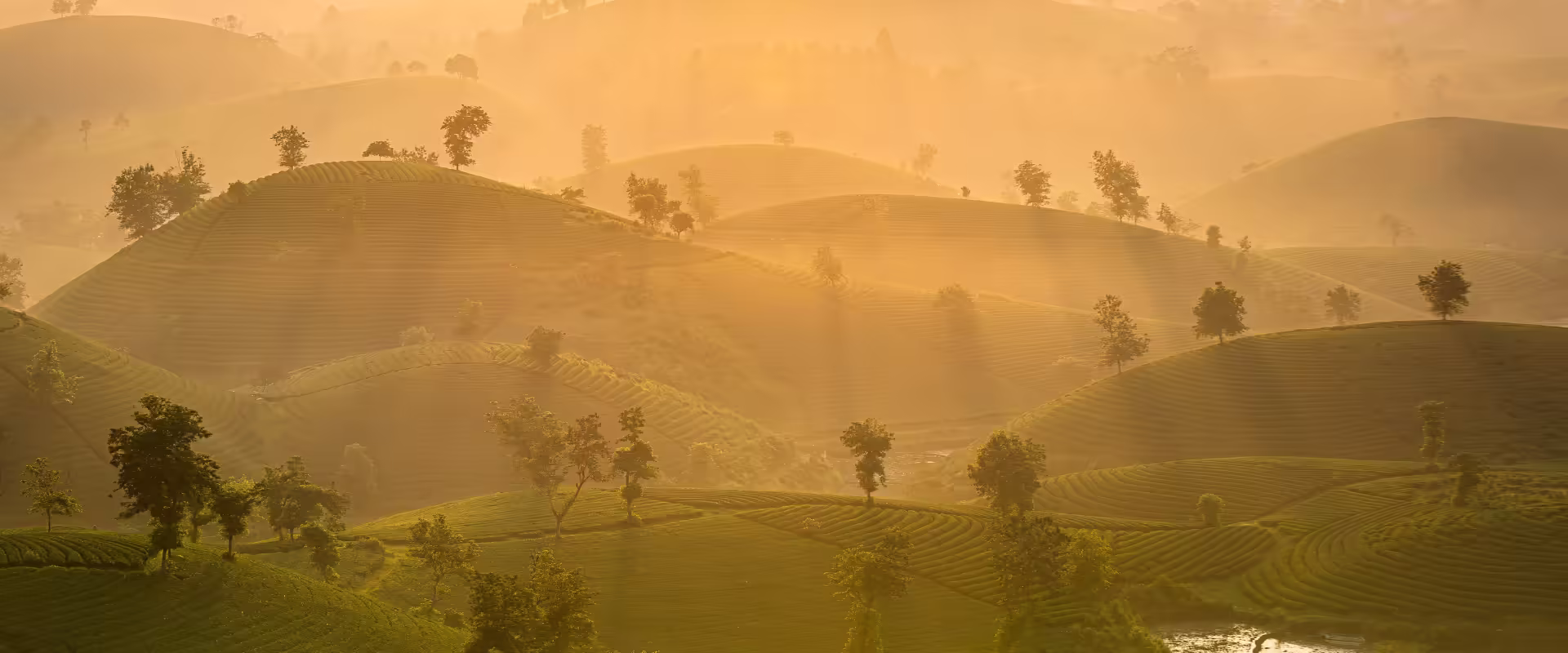 Darjeeling + Gangtok Himalayan Escape image 6