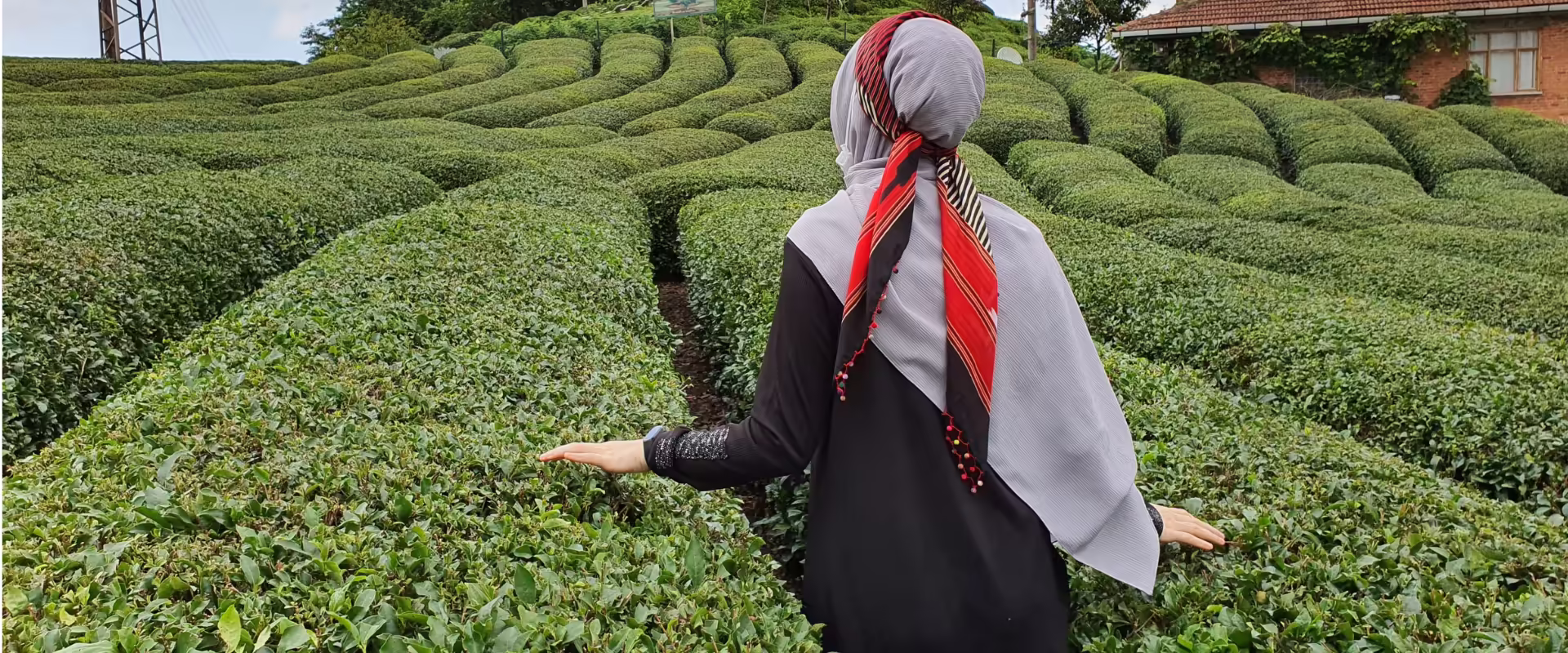 Darjeeling Escape image 3