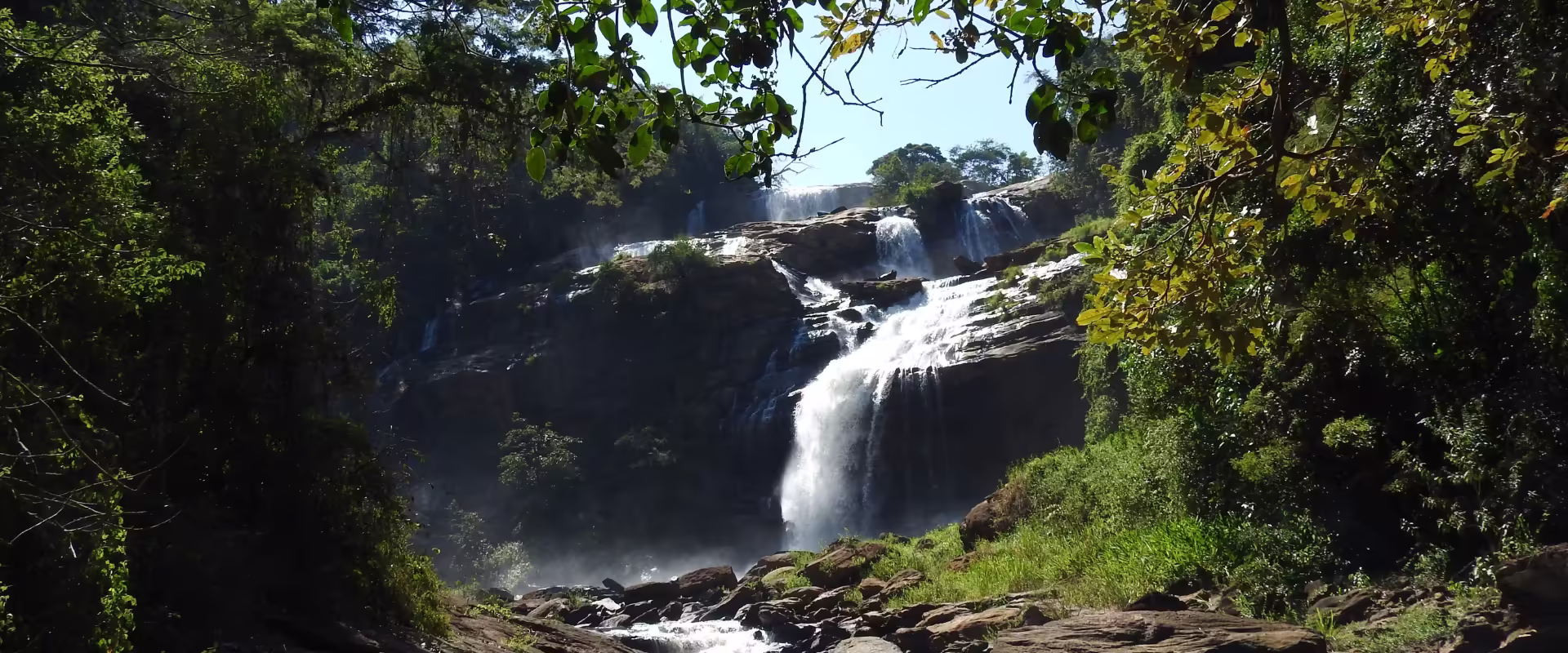 Romantic Hills Escape: Munnar, Kerala Honeymoon image 2