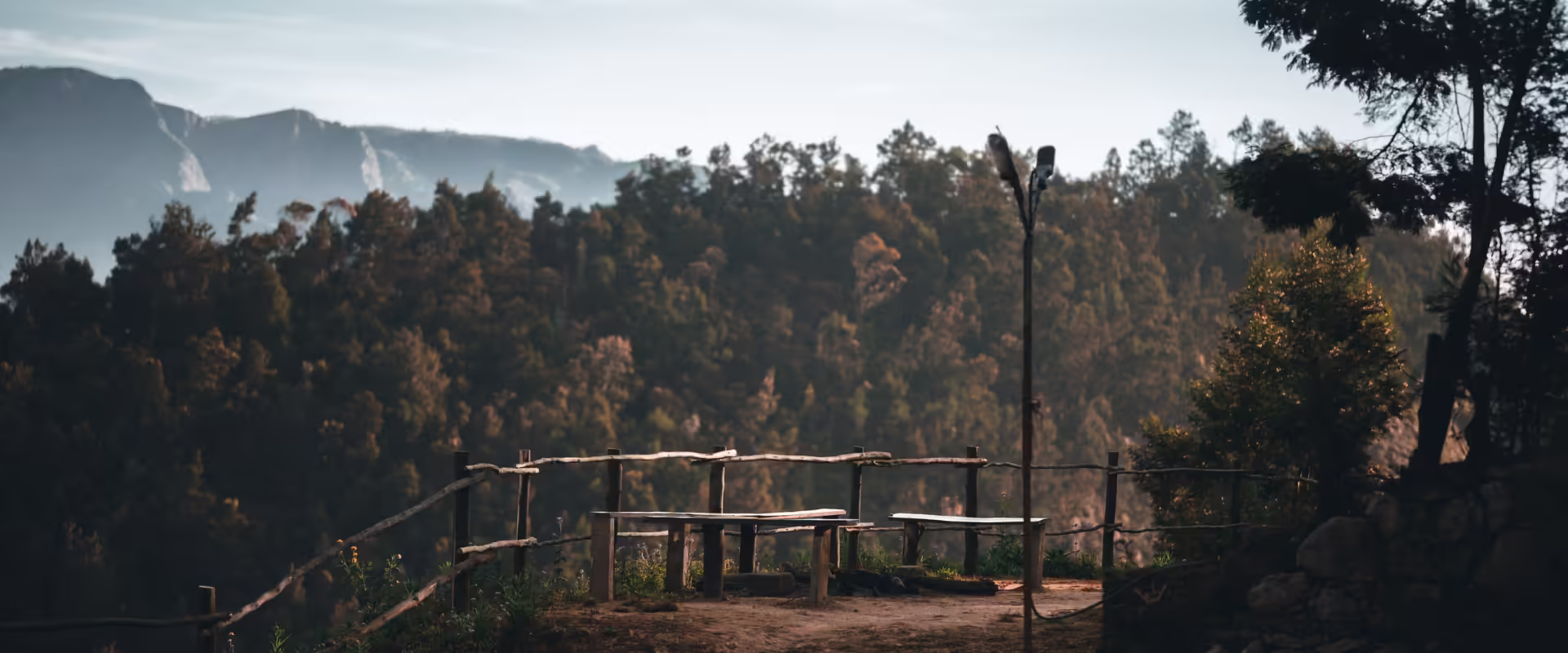 Romantic Hills Escape: Munnar, Kerala Honeymoon image 6