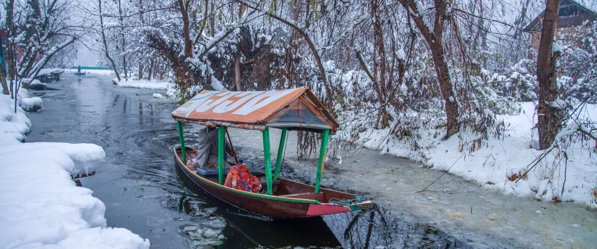 Nag Tibba Trek – The Serpent’s Peak image 8