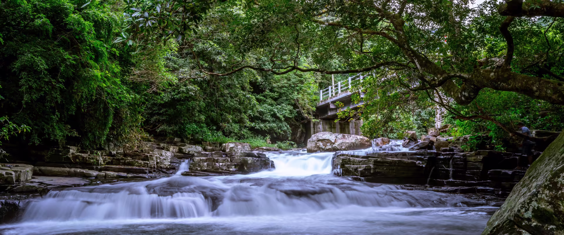 The Root Bridge Trail – Living Wonders of Meghalaya image 3
