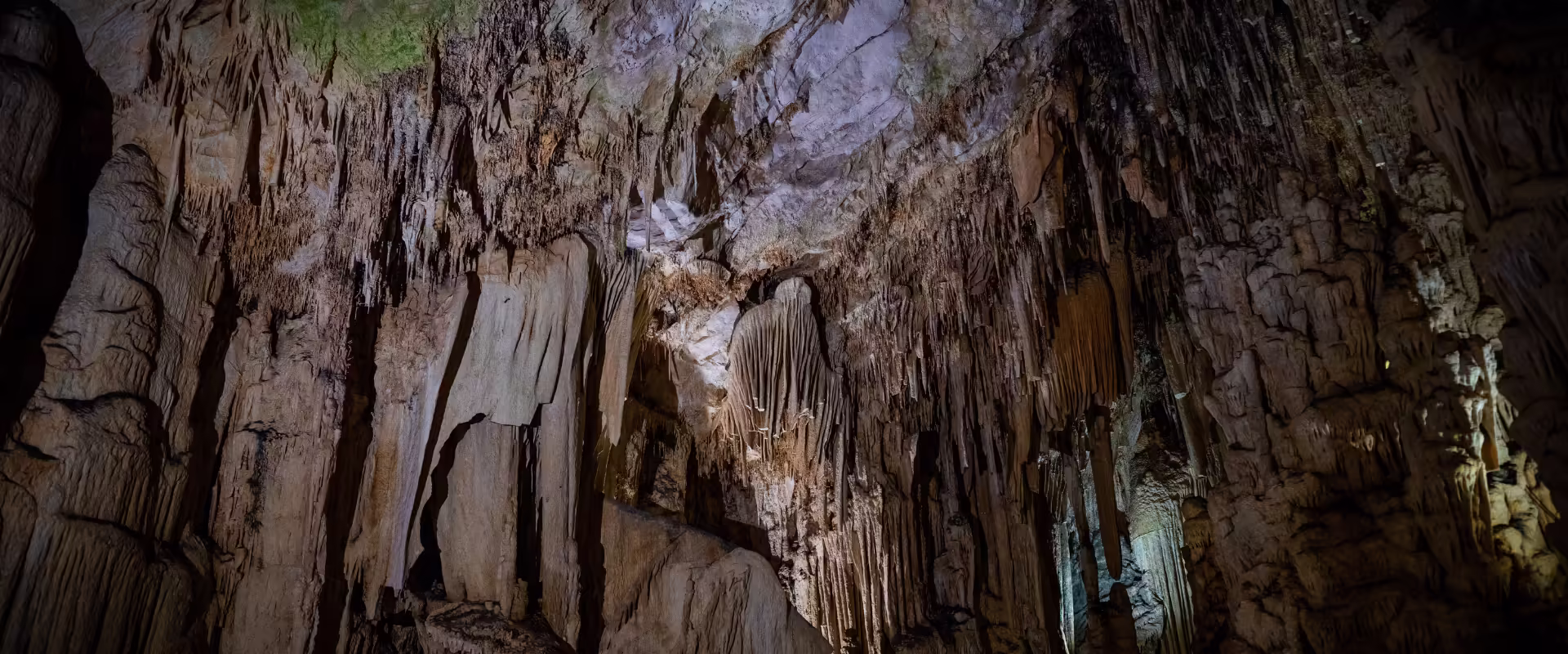 The Root Bridge Trail – Living Wonders of Meghalaya image 9