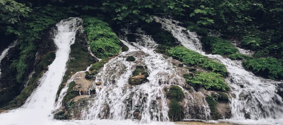 Rishikesh Dehradun Mussoorie Tour Package image 9